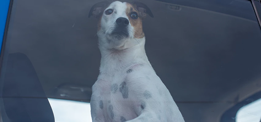 Car Lockout Solutions in Irvine, California